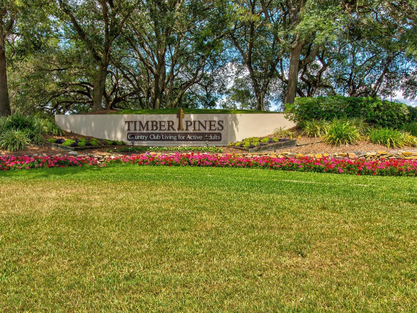 3123 Quail Hollow Court Spring Hill FL 34606 W7883115 image2