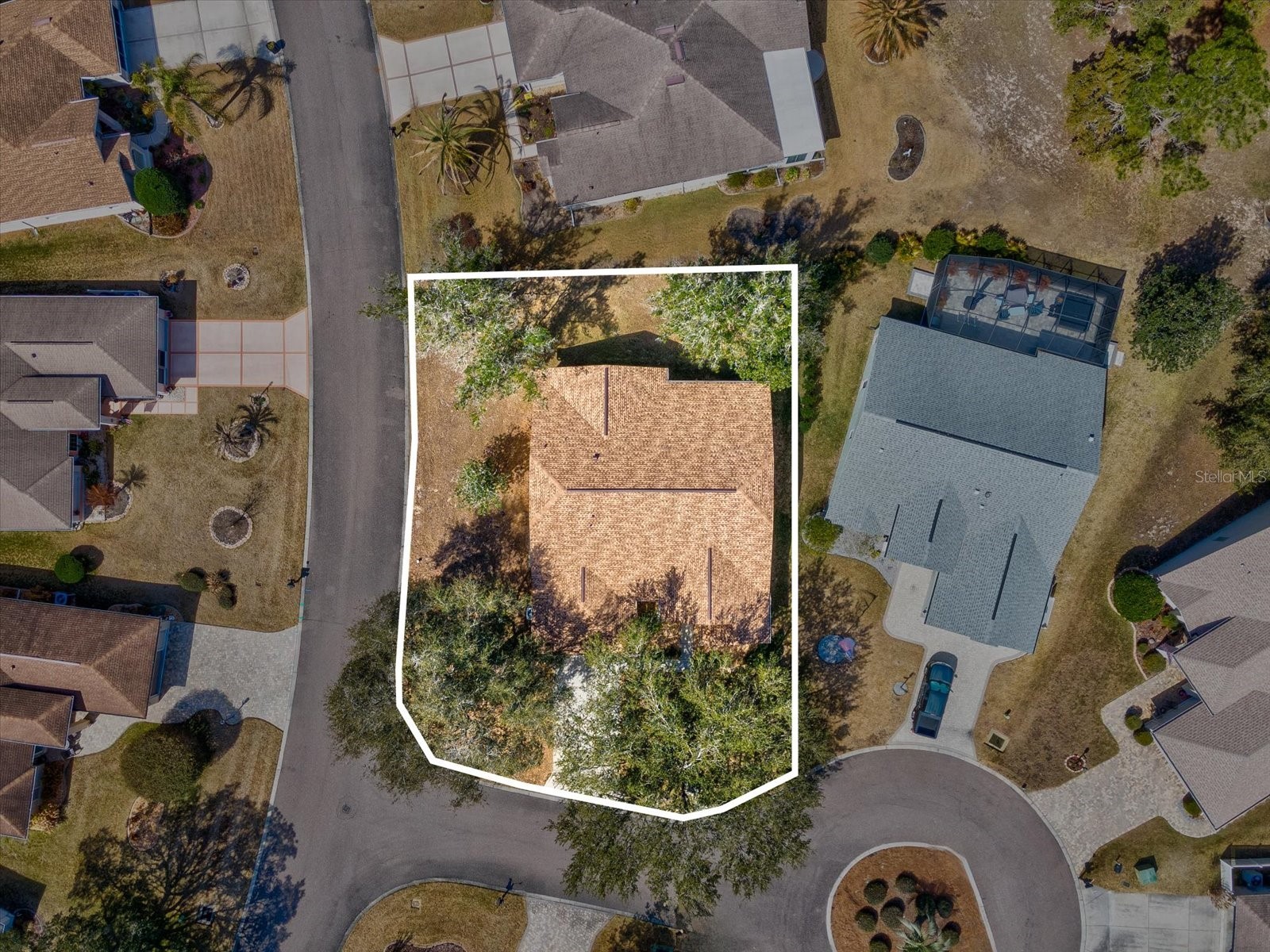 3123 Quail Hollow Court Spring Hill FL 34606 W7883115 image4