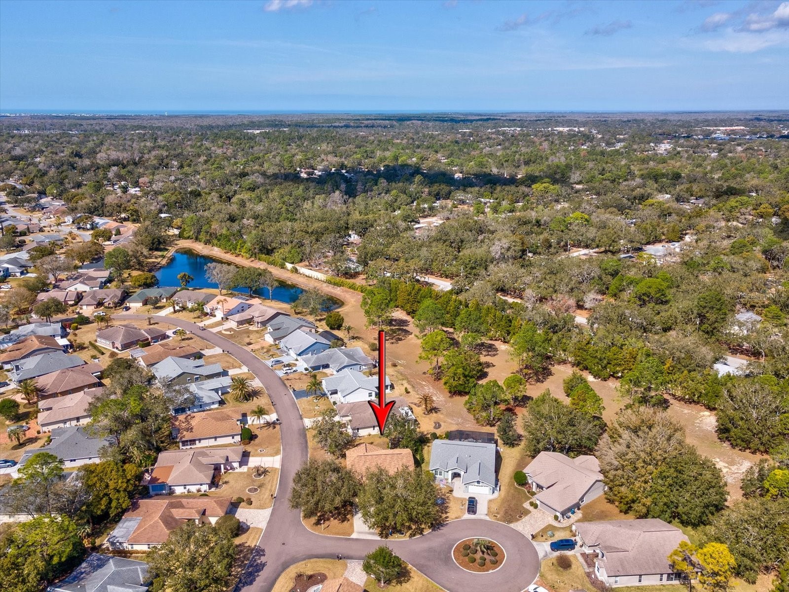 3123 Quail Hollow Court Spring Hill FL 34606 W7883115 image49
