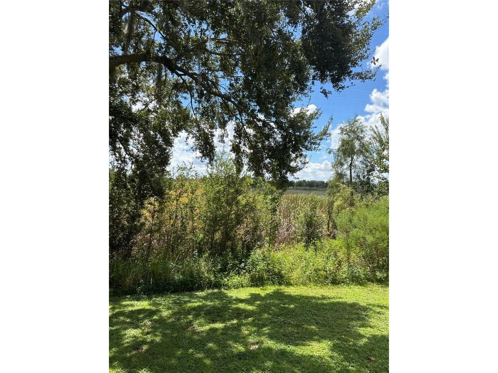 3123 Sun Lake Court #A Kissimmee FL 34747 S5134799 image30