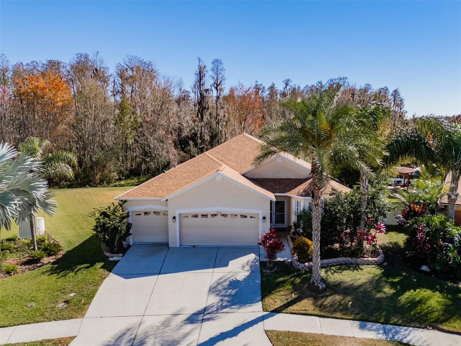31230 Alchester Drive Wesley Chapel FL 33543 TB8470184 image1