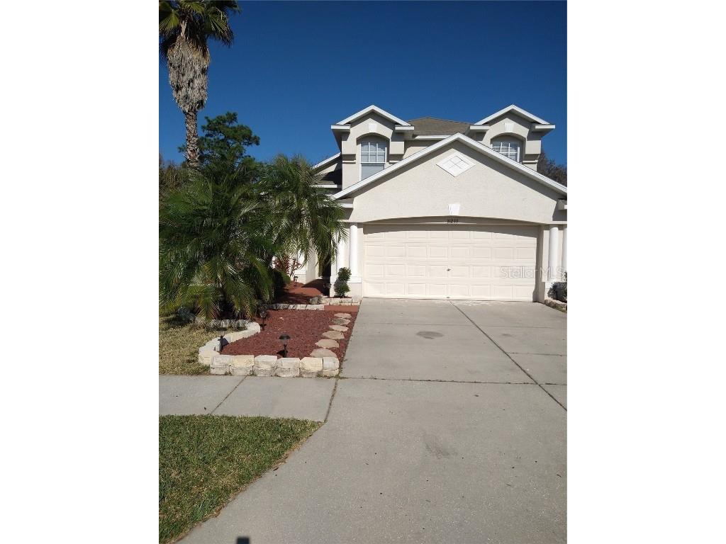 31233 Chatterly Drive Wesley Chapel FL 33543 T3352110 image1