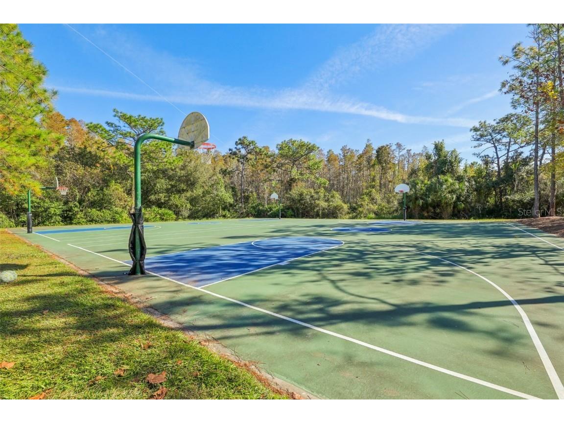 31234 Claridge Place Wesley Chapel FL 33543 TB8447959 image40