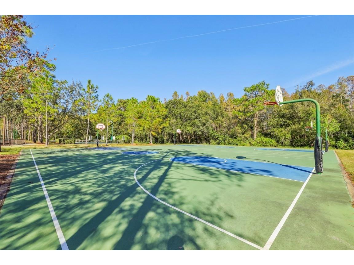 31234 Claridge Place Wesley Chapel FL 33543 TB8447959 image41