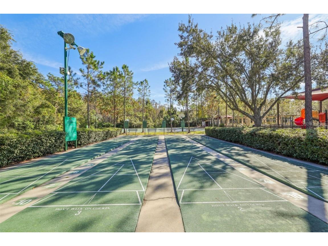 31234 Claridge Place Wesley Chapel FL 33543 TB8447959 image43