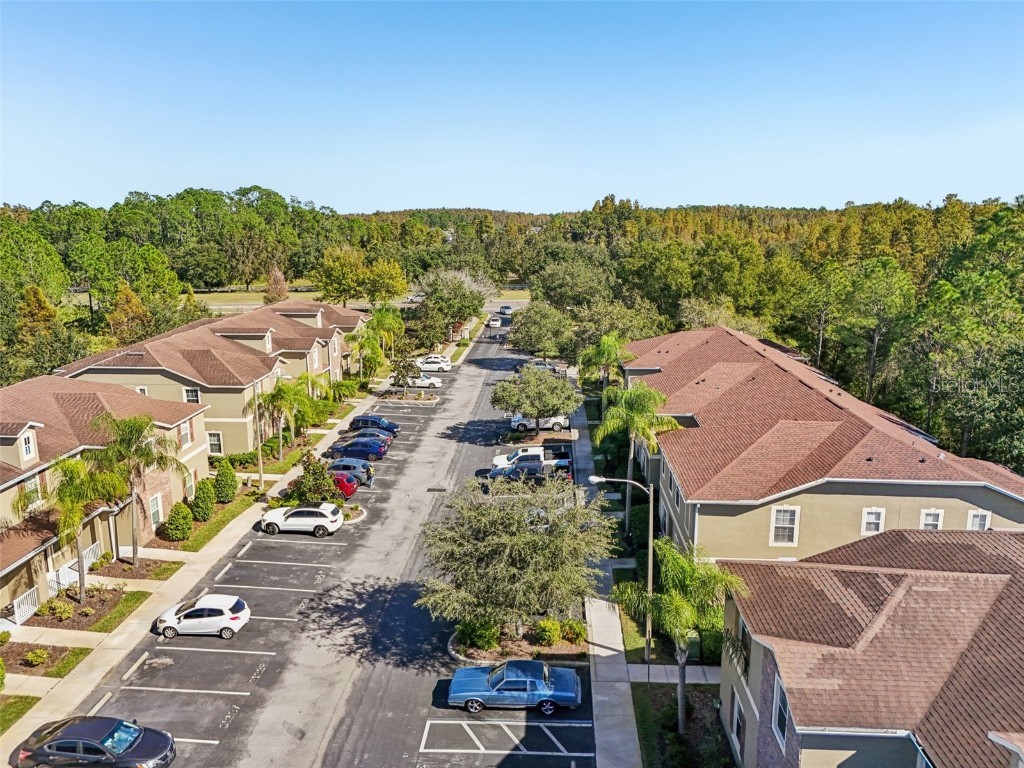 31234 Claridge Place Wesley Chapel FL 33543 TB8447959 image50