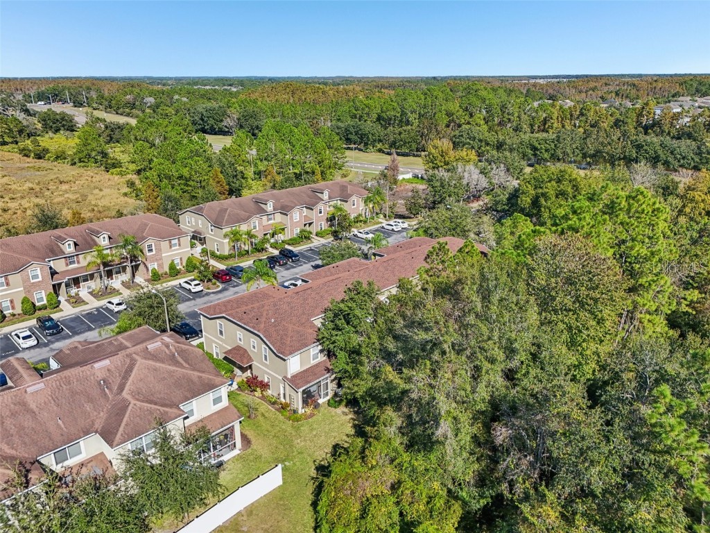 31234 Claridge Place Wesley Chapel FL 33543 TB8447959 image52