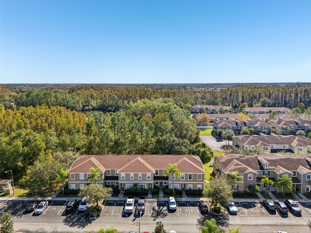 31234 Claridge Place Wesley Chapel FL 33543 TB8447959 image53