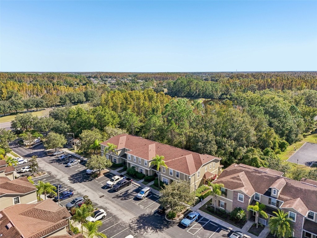 31234 Claridge Place Wesley Chapel FL 33543 TB8447959 image55