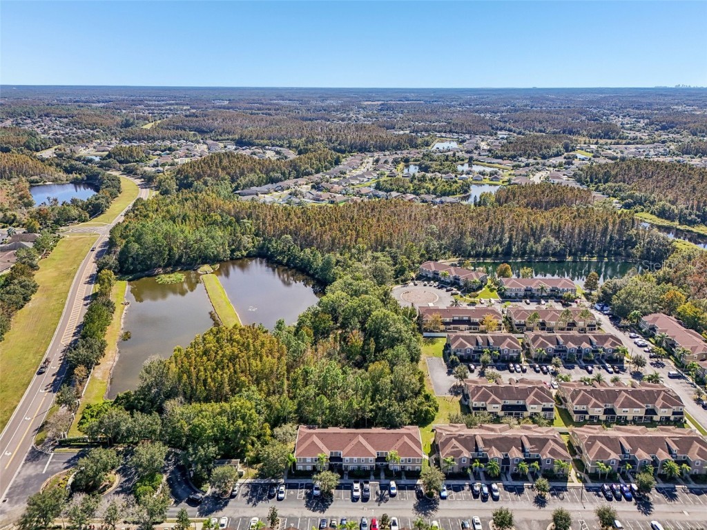 31234 Claridge Place Wesley Chapel FL 33543 TB8447959 image57