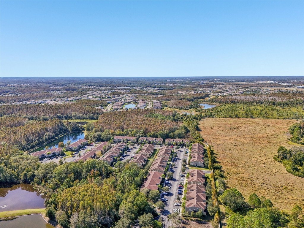 31234 Claridge Place Wesley Chapel FL 33543 TB8447959 image58