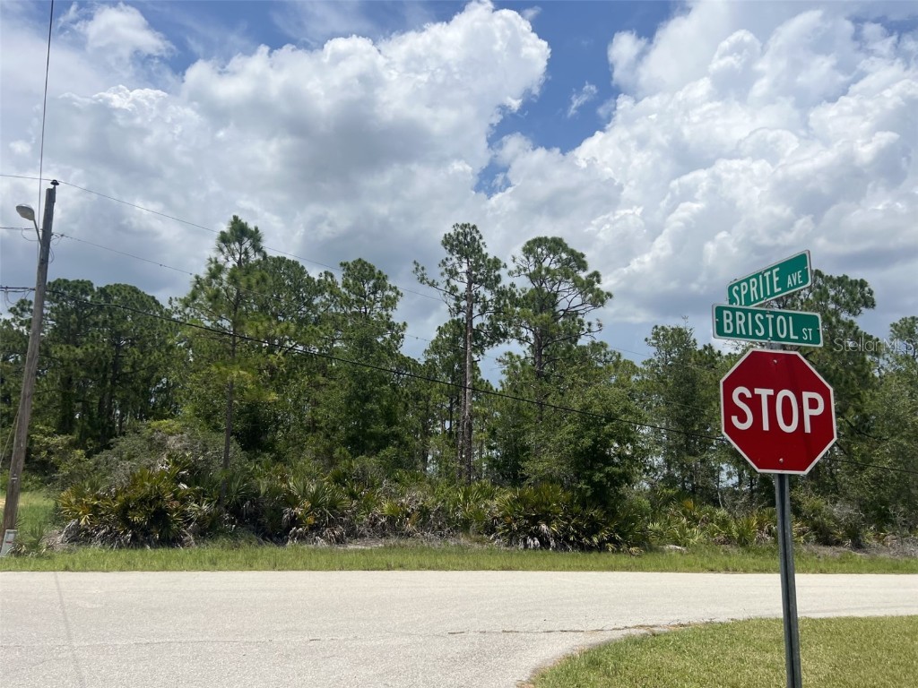 3124 Bristol Street Sebring FL 33872 T3458785 image1