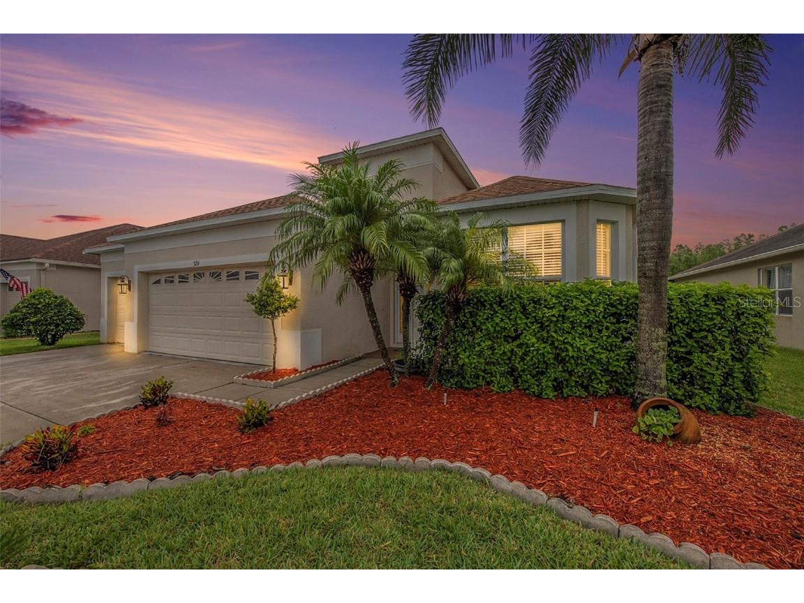 3124 Donington Castle Lane Land O Lakes FL 34638 T3455451 image1