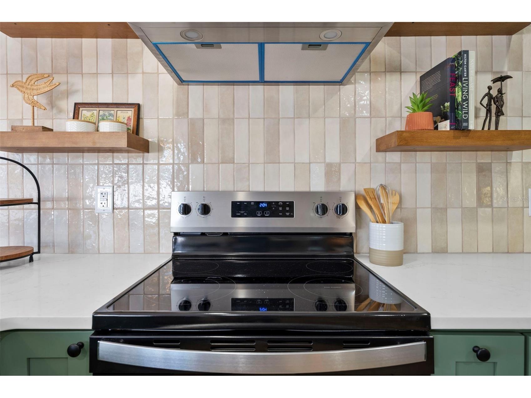 3124 Dothan Avenue Spring Hill FL 34609 TB8467539 image20