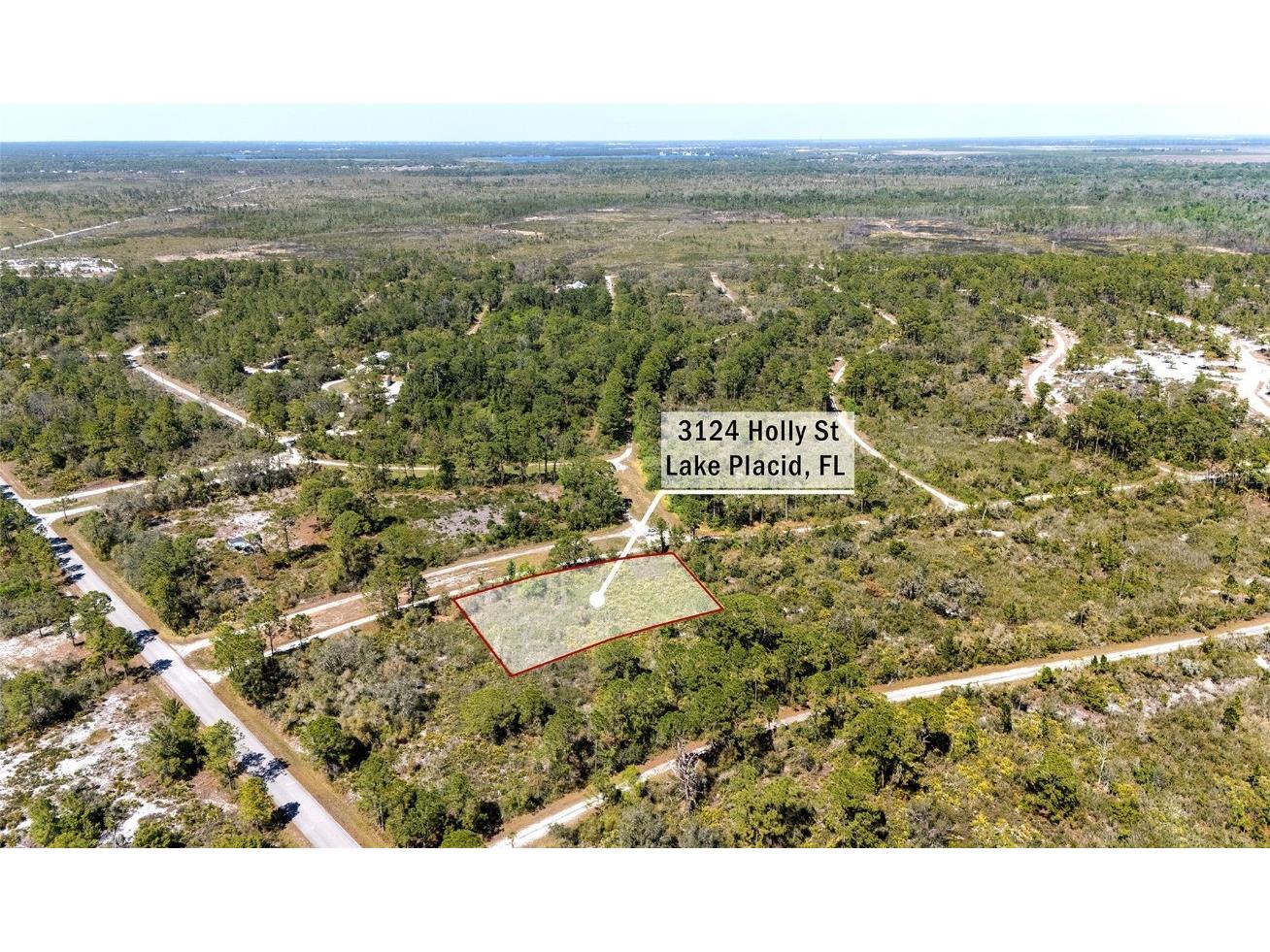 3124 Holly Terrace Lake Placid FL 33852 O6289609 image1