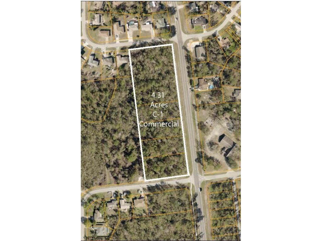 3124 Lake Helen Osteen Road Deltona FL 32738 V4943095 image5