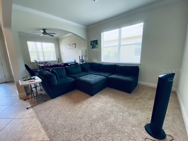 3124 Majestic View Drive Lutz FL 33558 TB8500031 image11