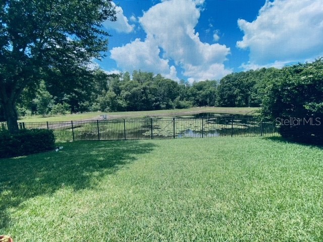 3124 Majestic View Drive Lutz FL 33558 TB8500031 image14