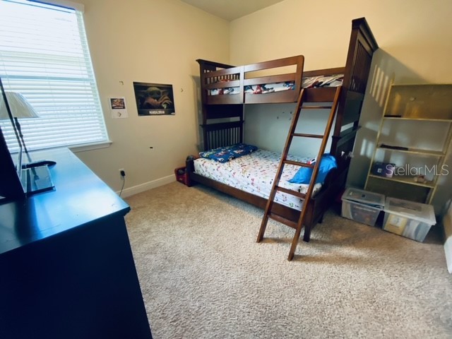 3124 Majestic View Drive Lutz FL 33558 TB8500031 image23