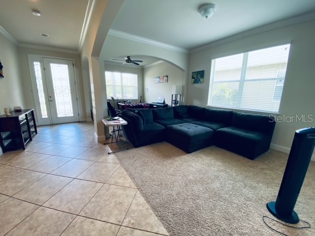 3124 Majestic View Drive Lutz FL 33558 TB8500031 image27