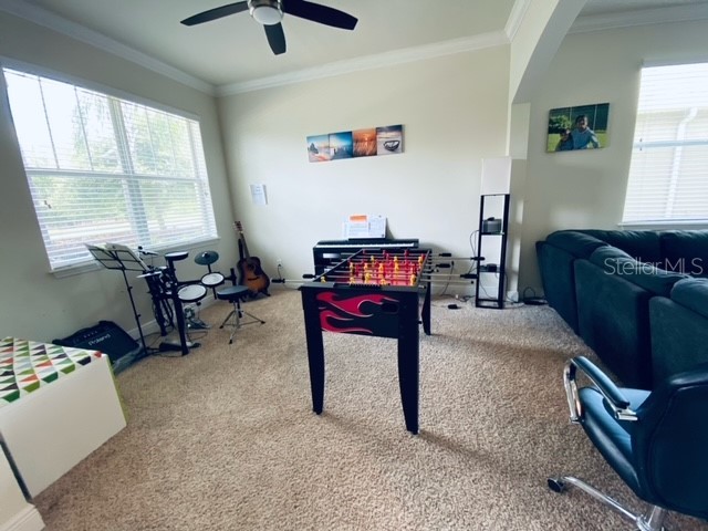 3124 Majestic View Drive Lutz FL 33558 TB8500031 image28