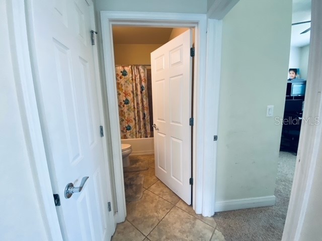 3124 Majestic View Drive Lutz FL 33558 TB8500031 image29