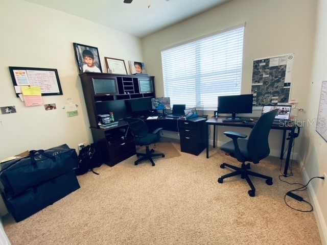 3124 Majestic View Drive Lutz FL 33558 TB8500031 image31
