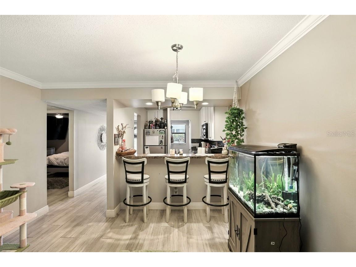 3124 Plaza Terrace Drive #3124 Orlando FL 32803 O6332554 image7