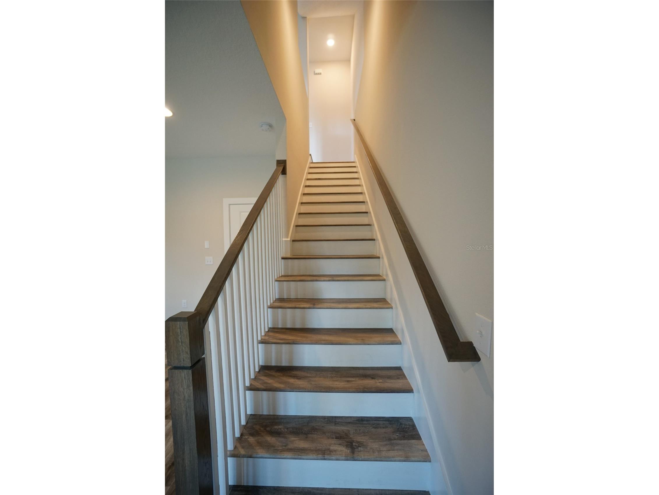 3124 W Azeele Street #4 Tampa FL 33609 TB8489980 image15