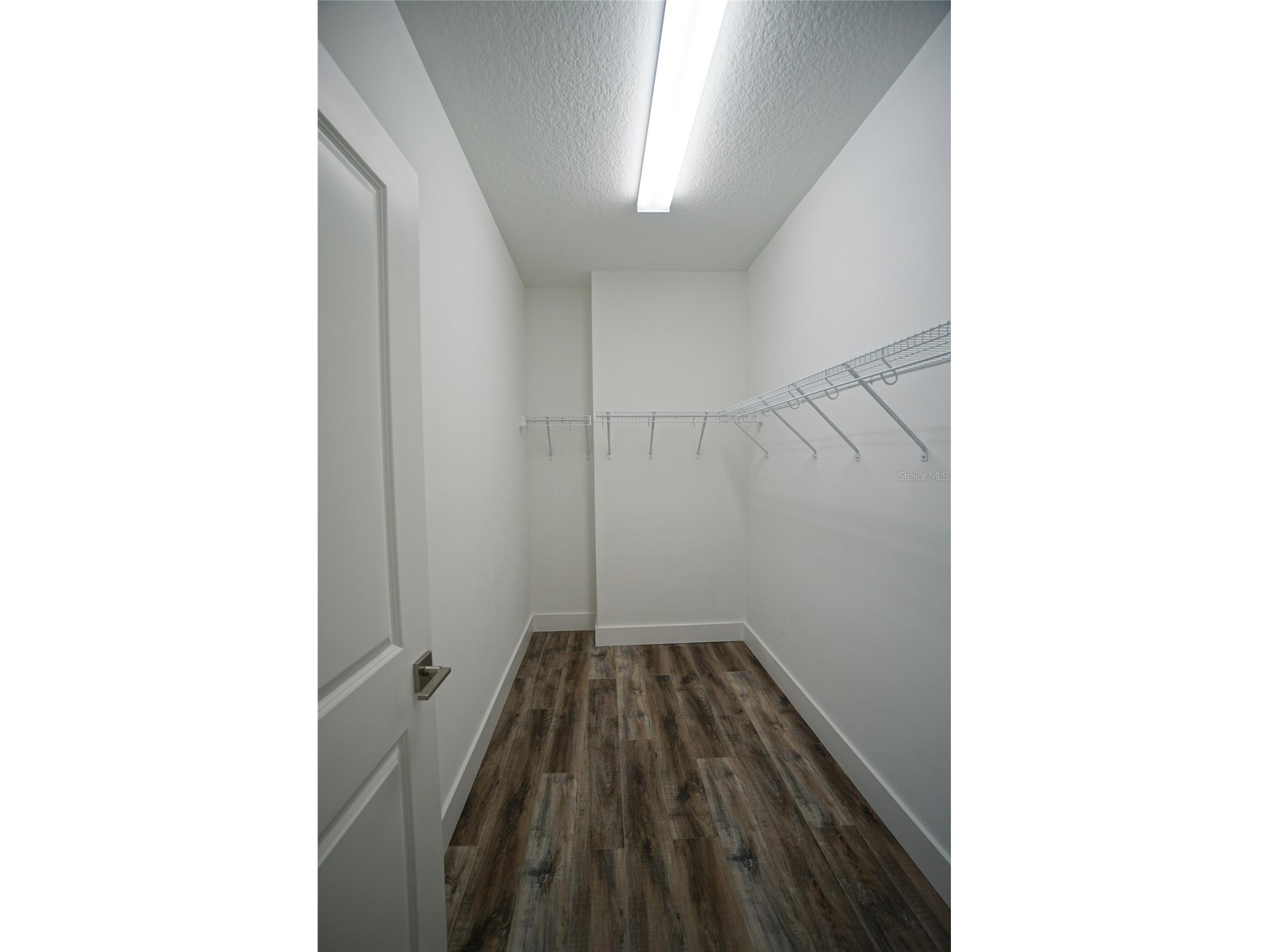 3124 W Azeele Street #4 Tampa FL 33609 TB8489980 image28