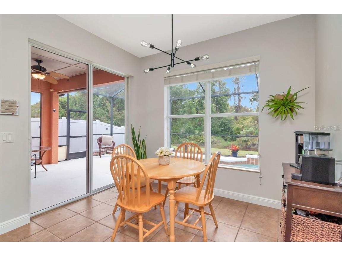 31241 Kirkshire Court Wesley Chapel FL 33543 TB8444215 image22