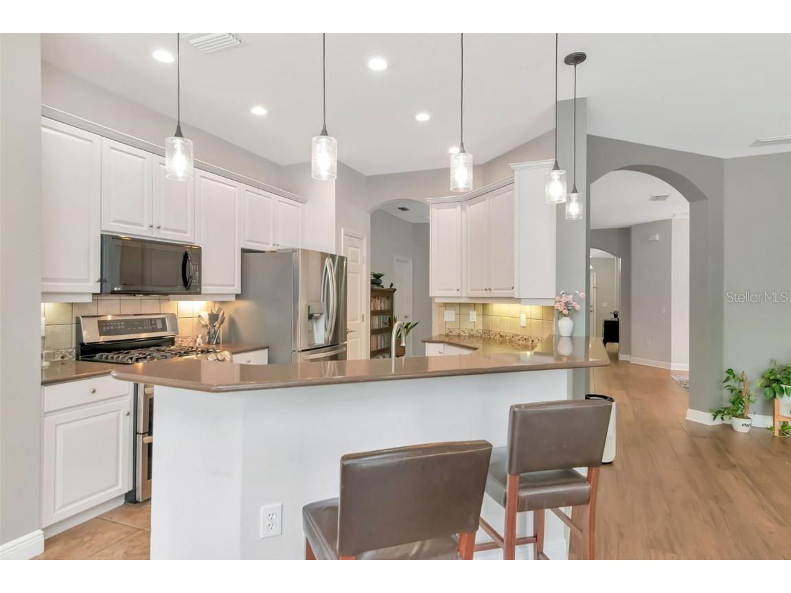 31241 Kirkshire Court Wesley Chapel FL 33543 TB8444215 image4