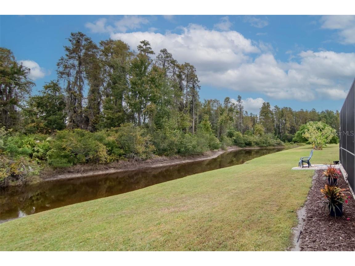 31241 Kirkshire Court Wesley Chapel FL 33543 TB8444215 image44