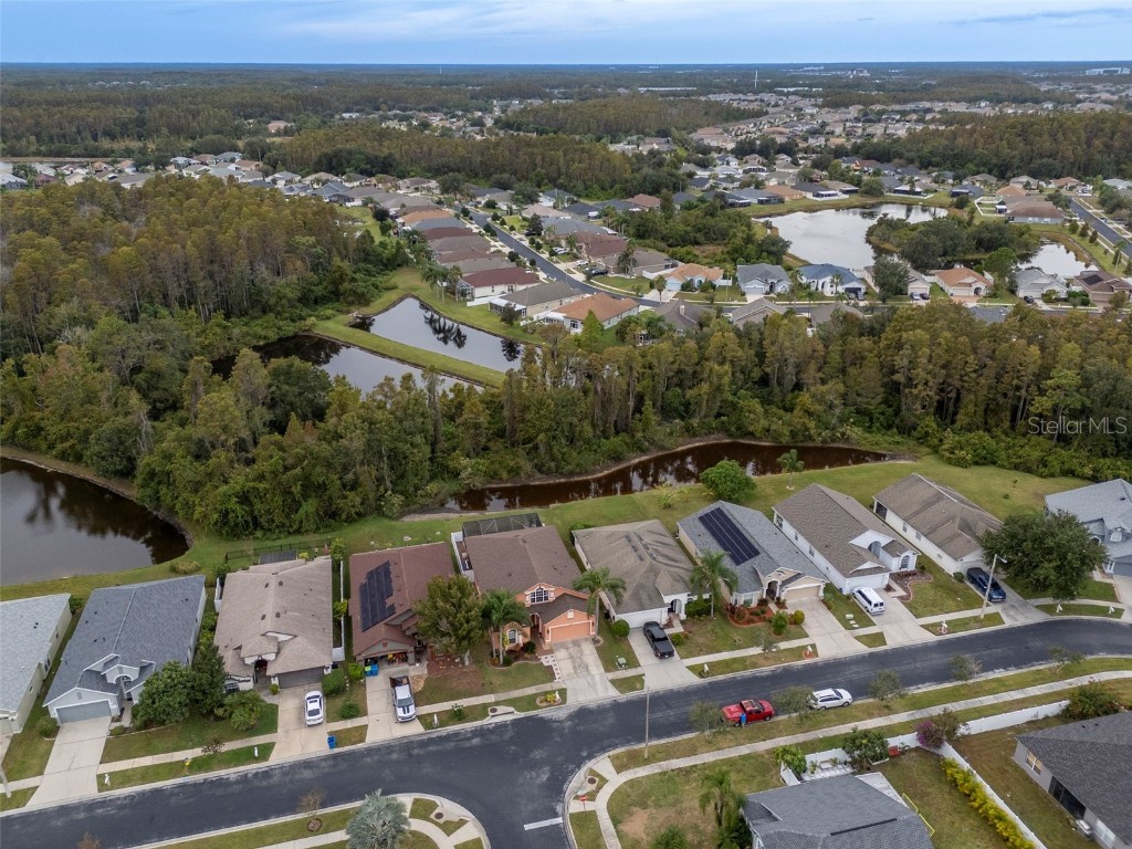 31241 Kirkshire Court Wesley Chapel FL 33543 TB8444215 image49