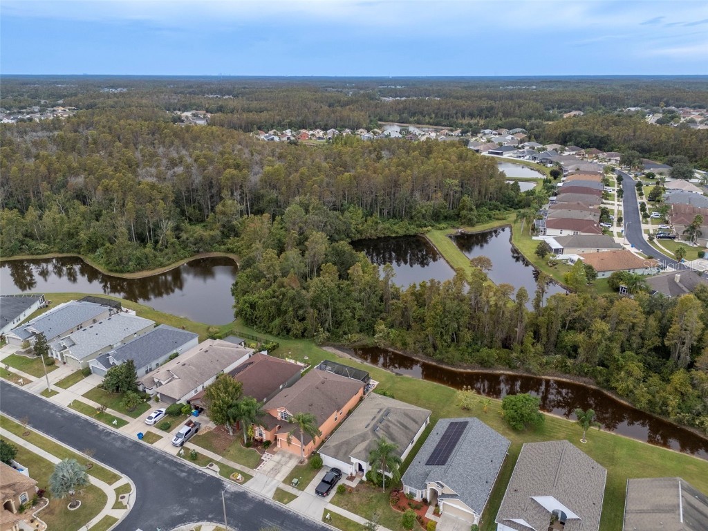 31241 Kirkshire Court Wesley Chapel FL 33543 TB8444215 image50