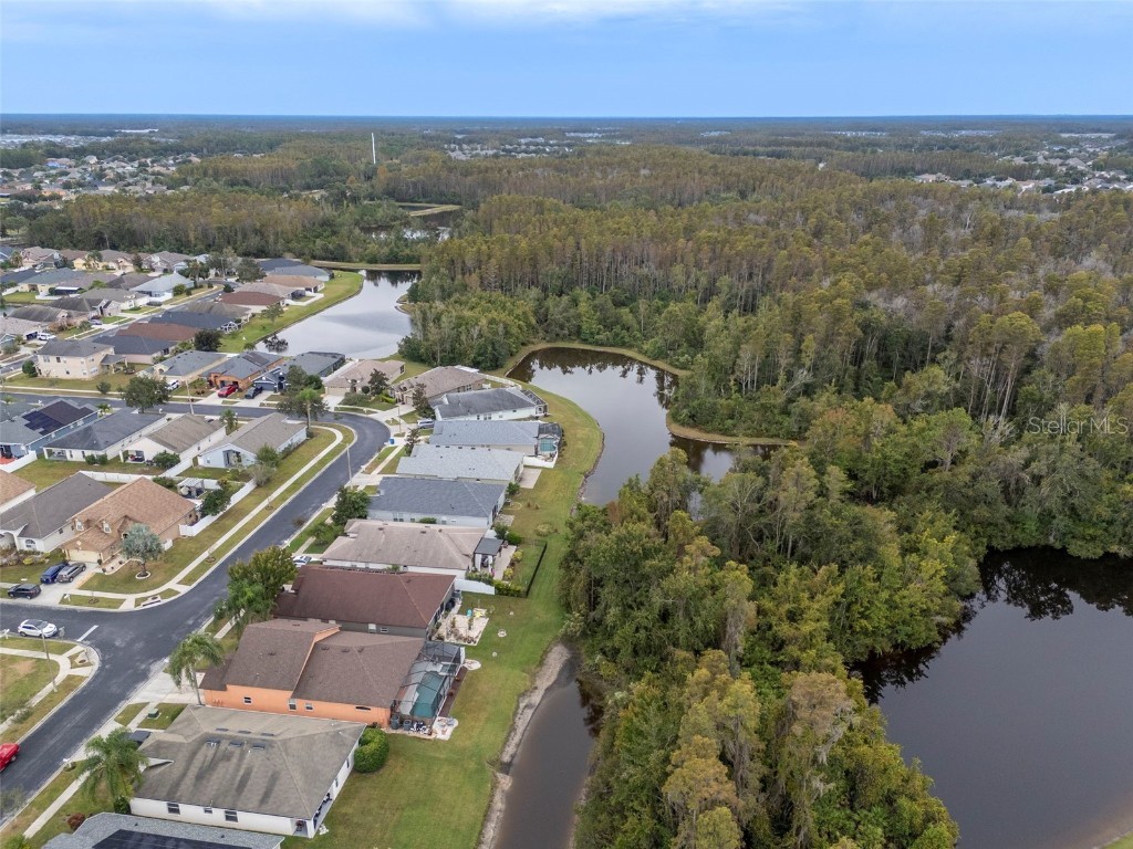 31241 Kirkshire Court Wesley Chapel FL 33543 TB8444215 image51