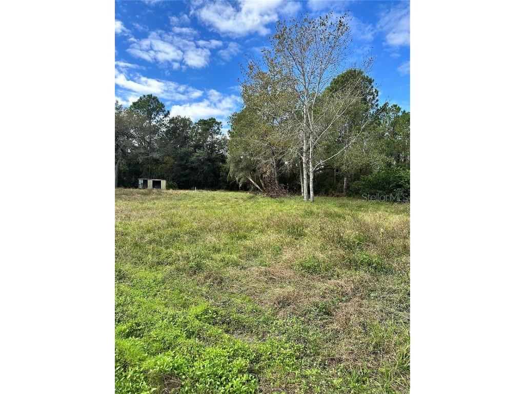 31242 Lakeside Drive Deland FL 32720 NS1083068 image1