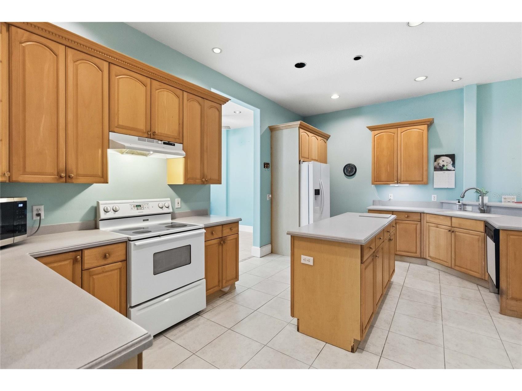 31243 Bear Pond Drive Sorrento FL 32776 O6417163 image10