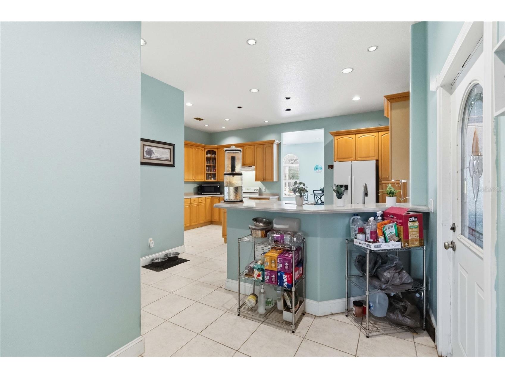 31243 Bear Pond Drive Sorrento FL 32776 O6417163 image14