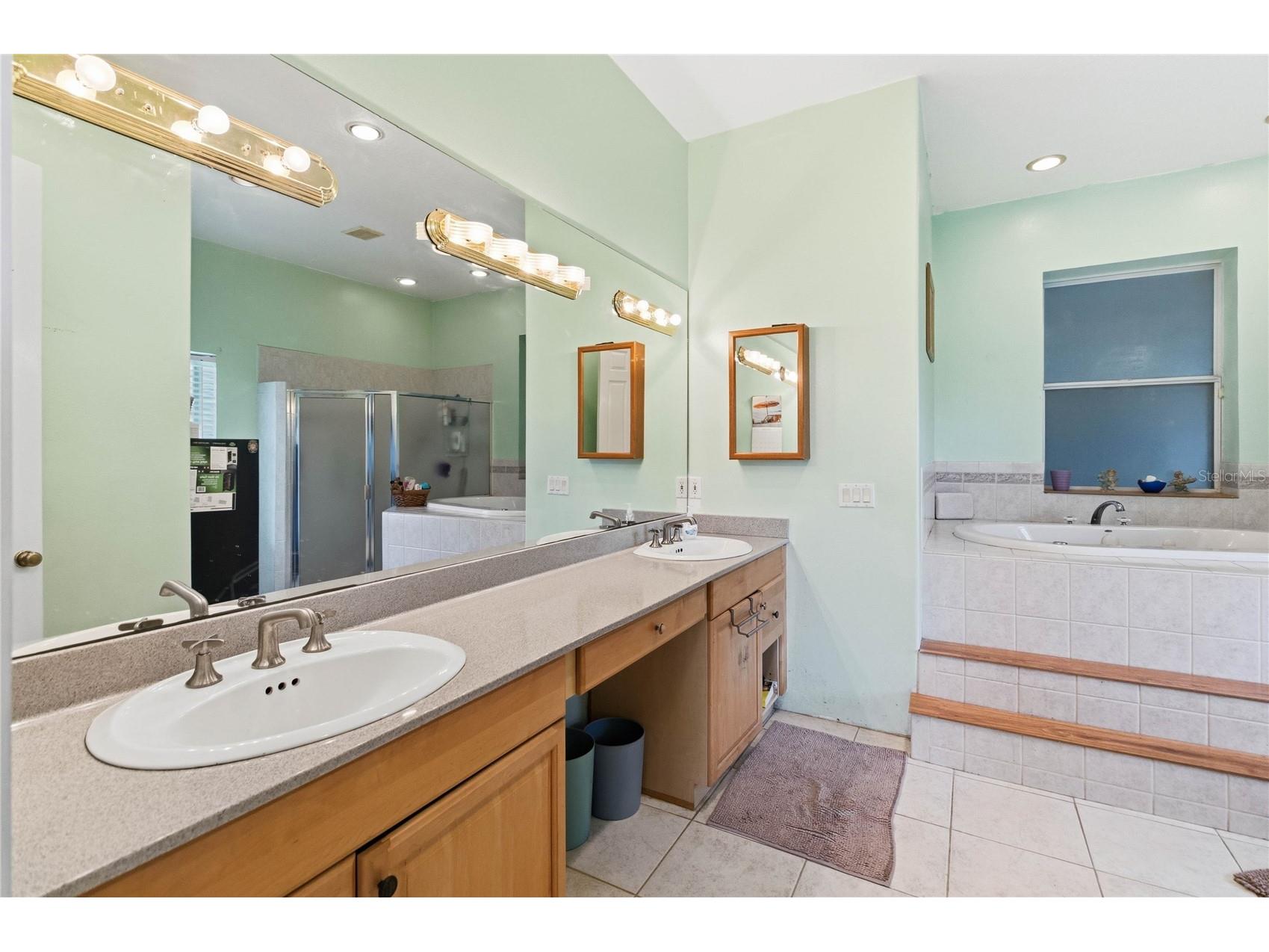 31243 Bear Pond Drive Sorrento FL 32776 O6417163 image21