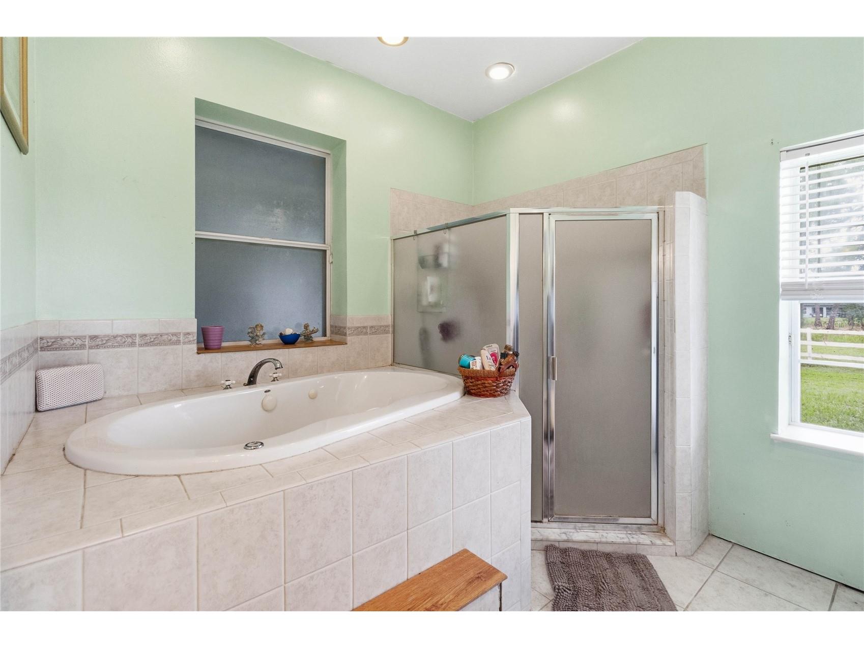 31243 Bear Pond Drive Sorrento FL 32776 O6417163 image22