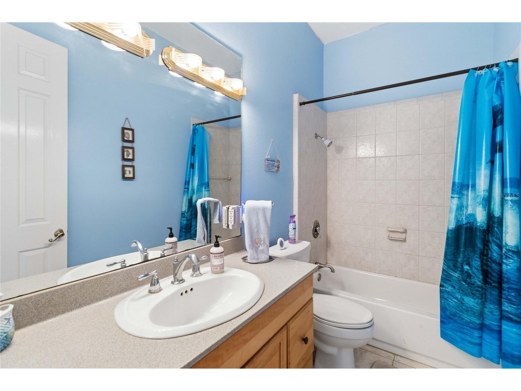31243 Bear Pond Drive Sorrento FL 32776 O6417163 image36