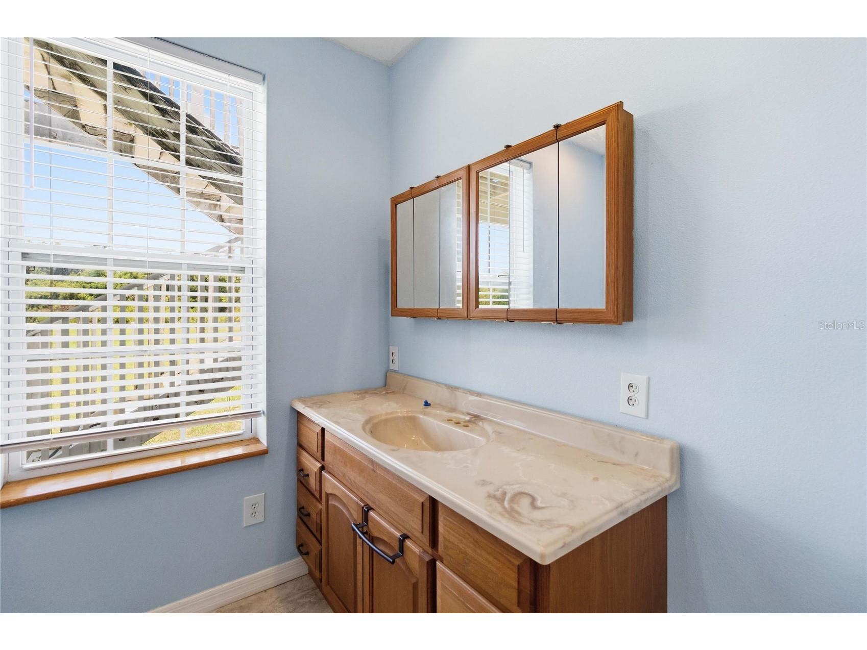 31243 Bear Pond Drive Sorrento FL 32776 O6417163 image41
