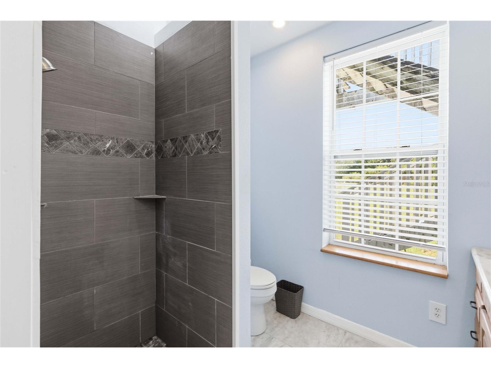 31243 Bear Pond Drive Sorrento FL 32776 O6417163 image42