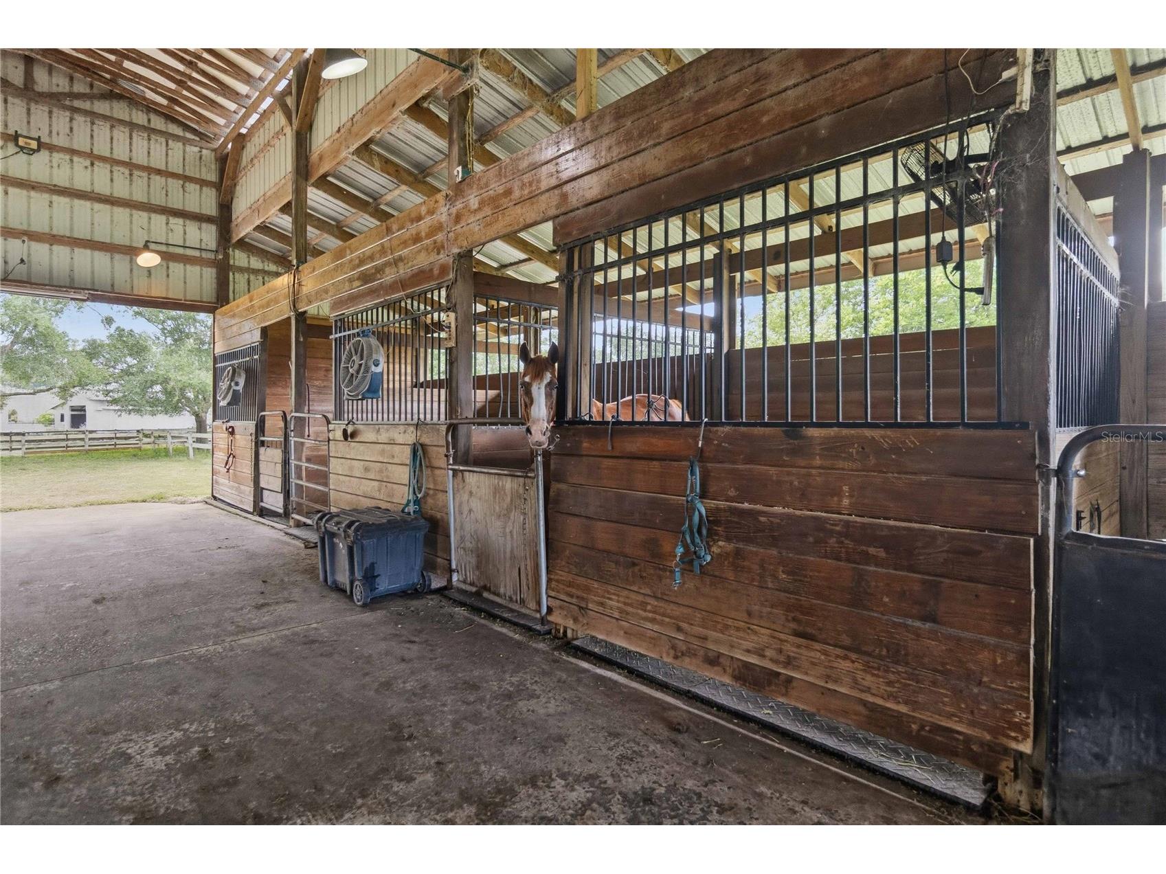 31243 Bear Pond Drive Sorrento FL 32776 O6417163 image46