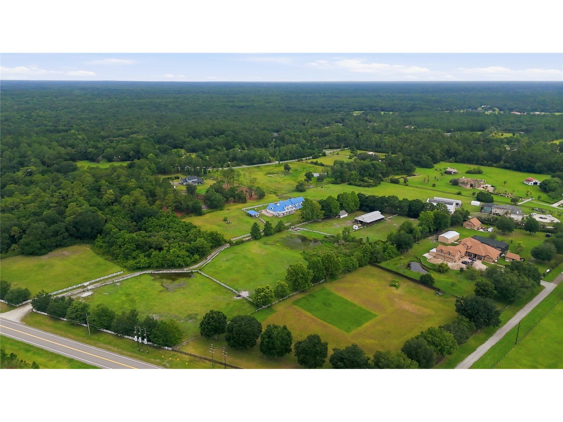 31243 Bear Pond Drive Sorrento FL 32776 O6417163 image66