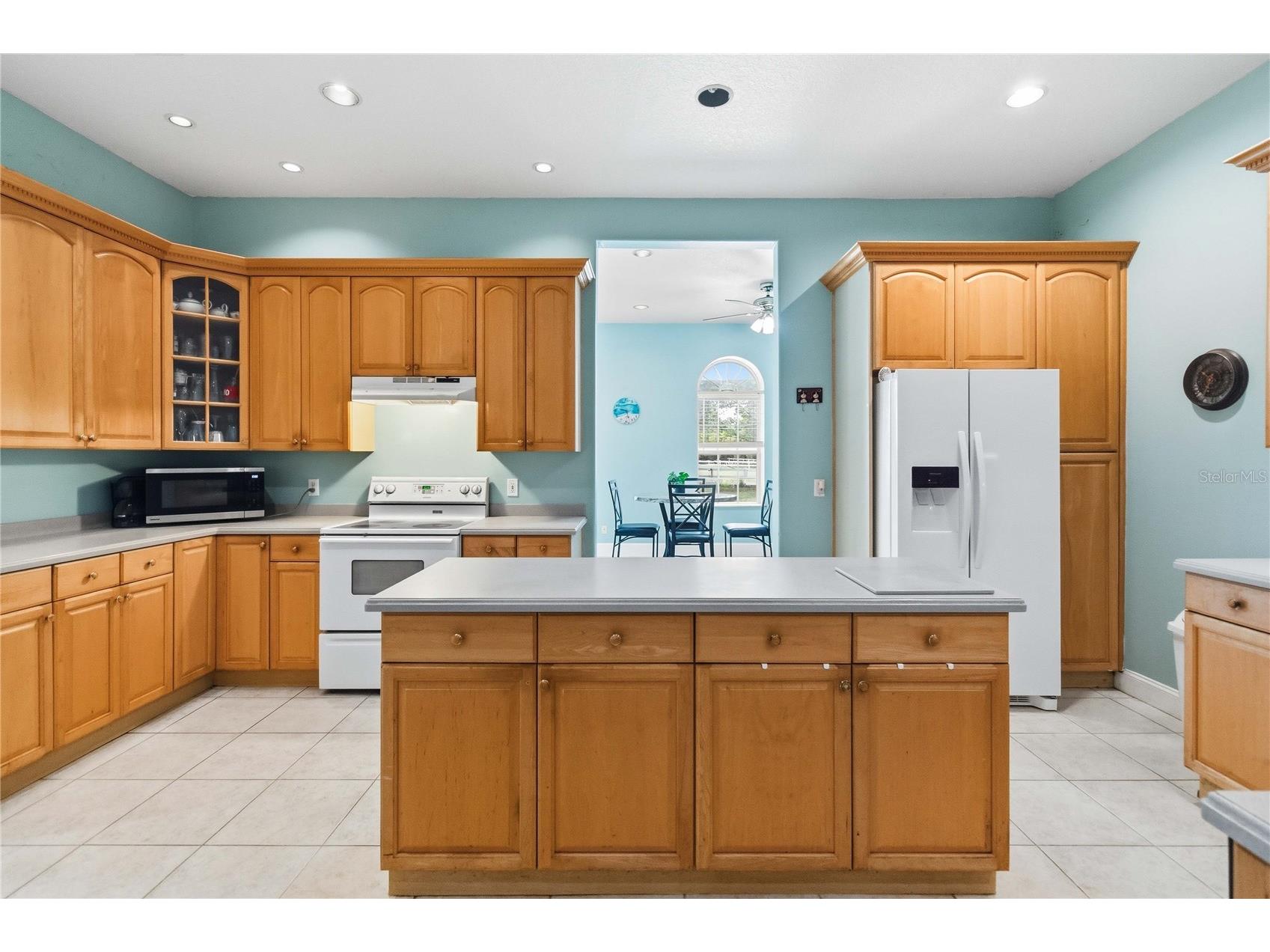 31243 Bear Pond Drive Sorrento FL 32776 O6417163 image9