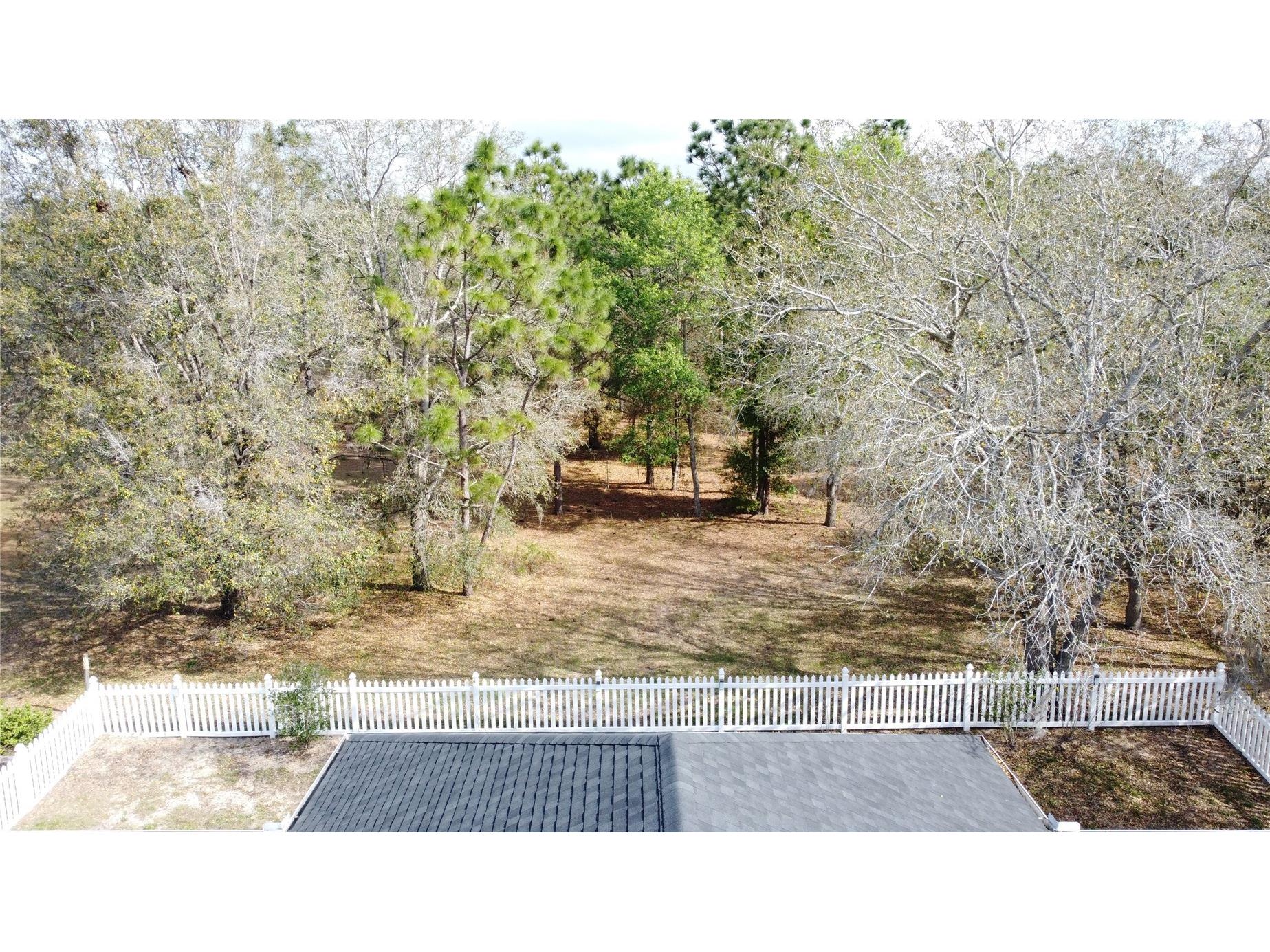 31249 Satinleaf Run Brooksville FL 34602 S5146898 image58