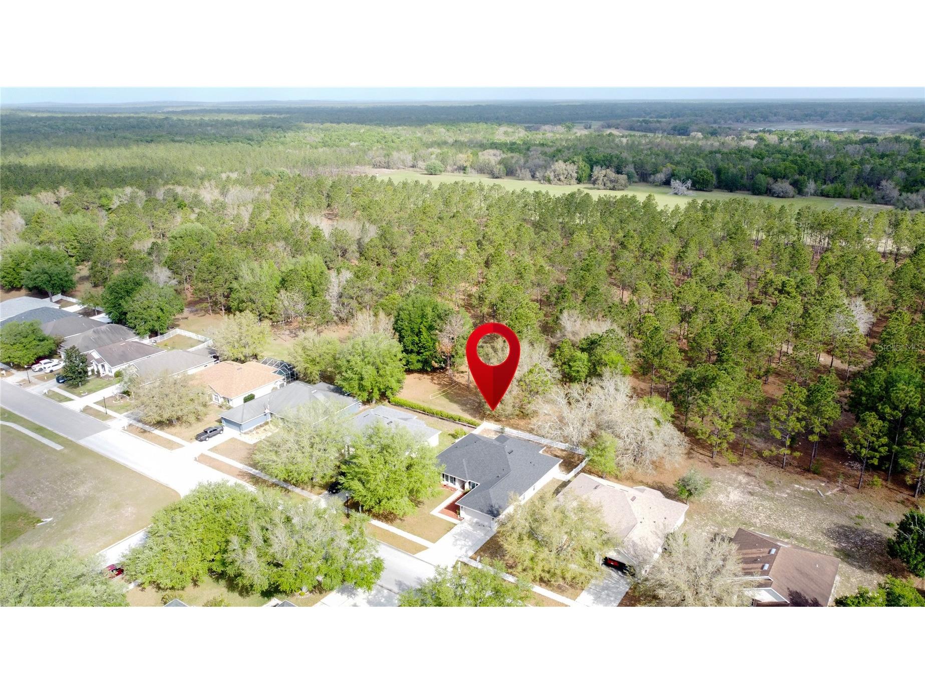 31249 Satinleaf Run Brooksville FL 34602 S5146898 image62