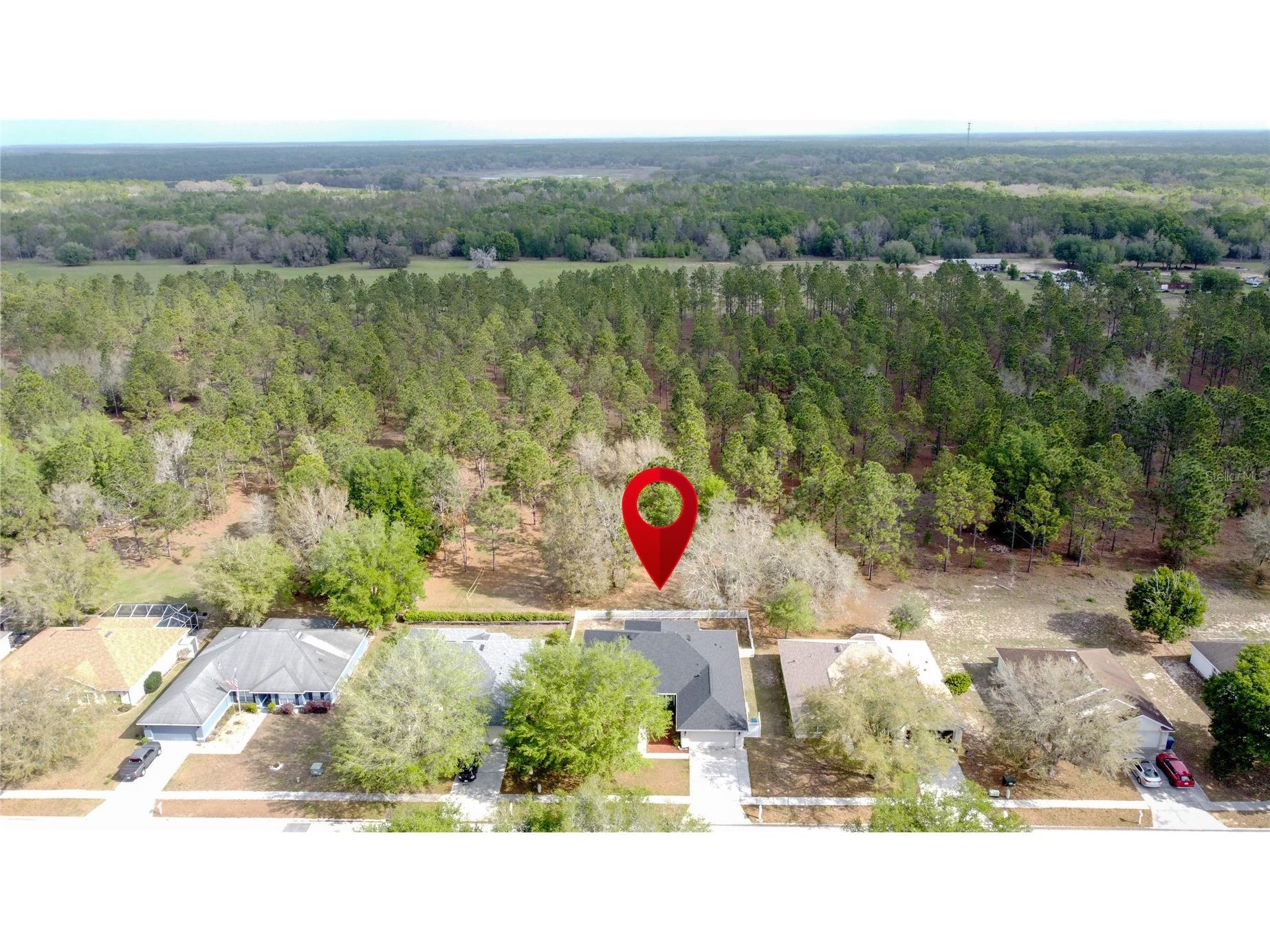 31249 Satinleaf Run Brooksville FL 34602 S5146898 image63
